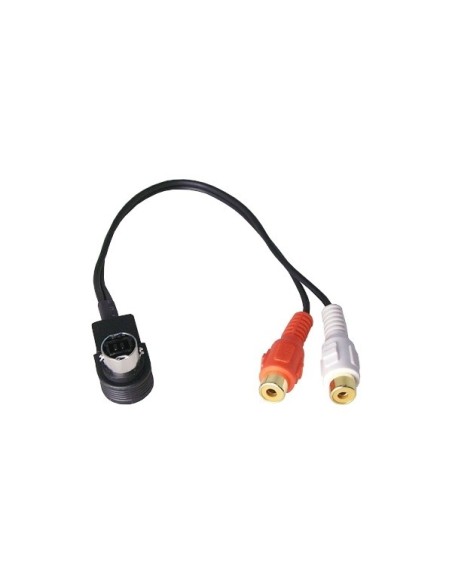 CONNECTION 316001