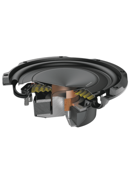 AUDISON APS 10 D
