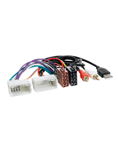 CL CABR552173/C