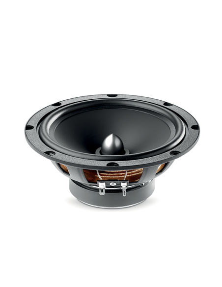 FOCAL ASE-165