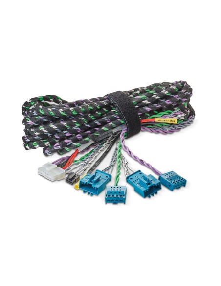 FOCAL IMPBMW2.1HARNESS