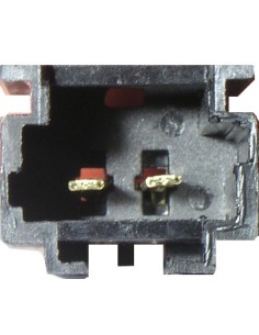 CL SPIN550002/C