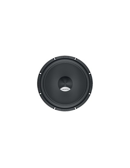 HERTZ DS-300.3