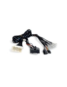 AUDISON APBMW REAMP 2 2