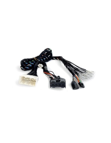 AUDISON APBMW REAMP 2