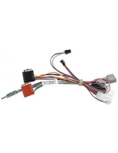CONNECTION PP 29