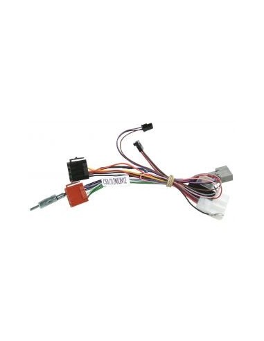 CONNECTION PP 29