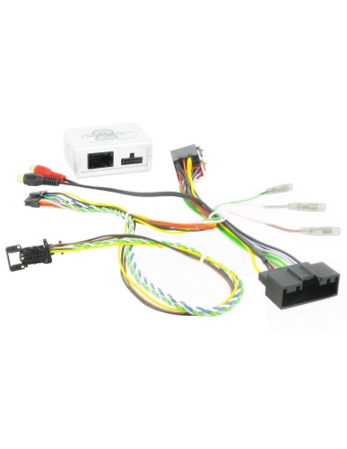 PIONEER CA-R-FOR-011