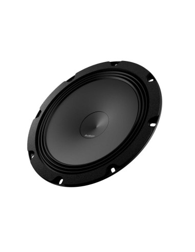AUDISON AP 8